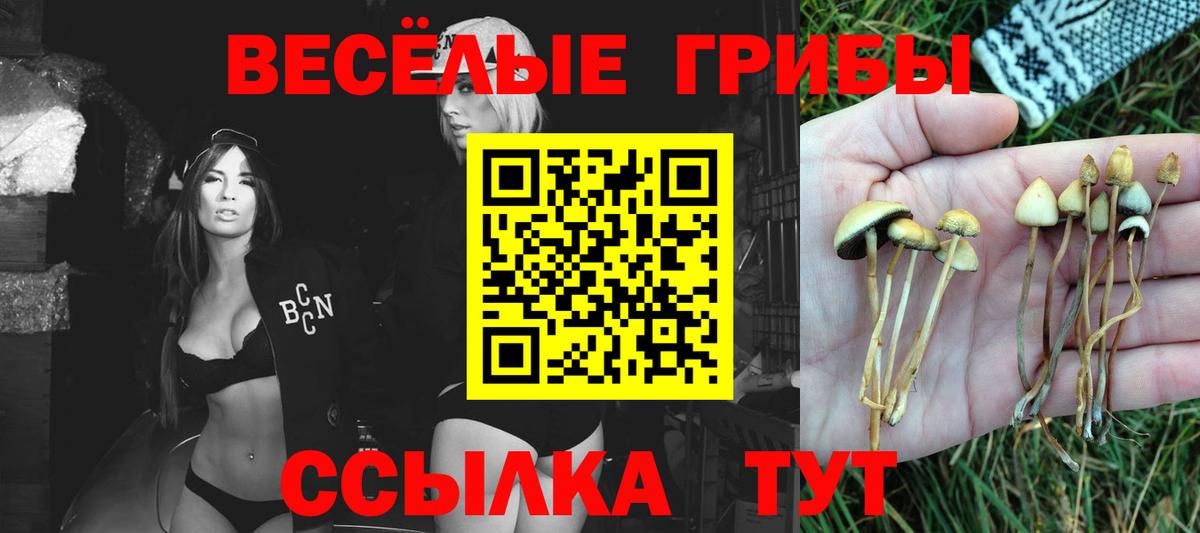 Кокаин  ГАШ  Канабис  Кетамин  ТГК  Учалы  Мефедрон кристаллы  Вход с VPN  ГАШ 
